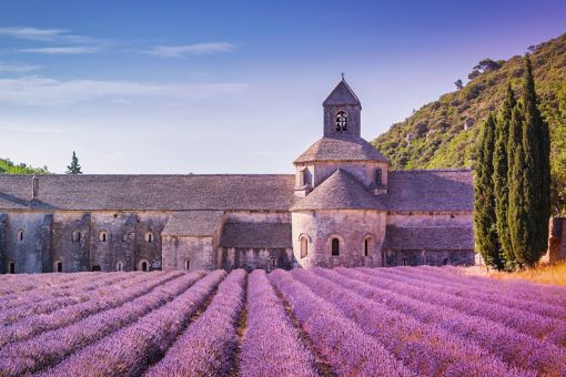 フランス総選挙の結果とビジネスへの影響