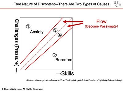 Flow Theory