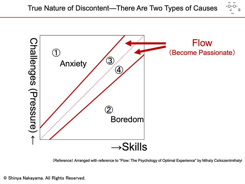 Flow Theory