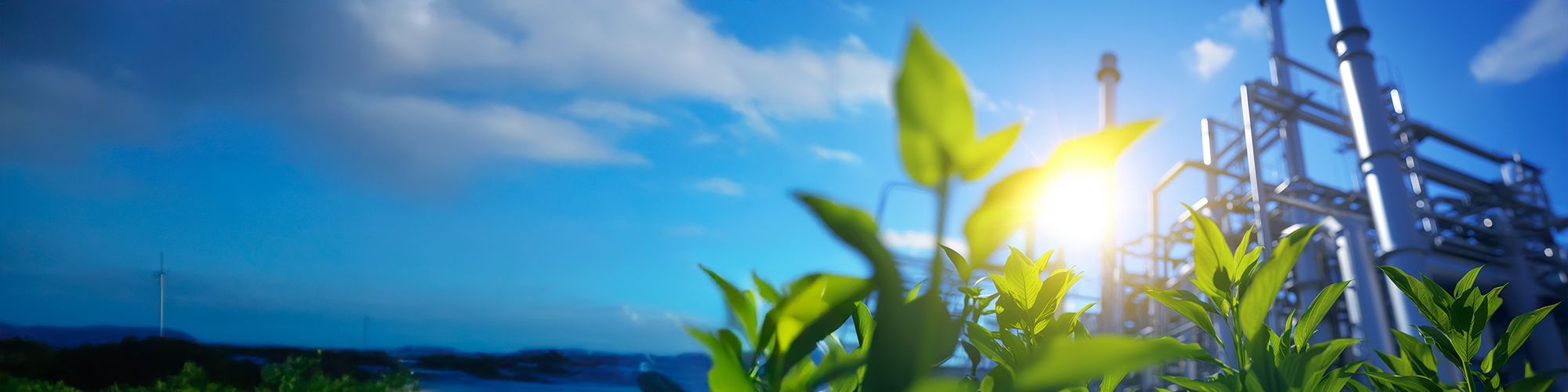 製造業におけるサステナブルサプライチェーン構築支援