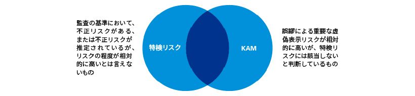 特検リスクとKAM