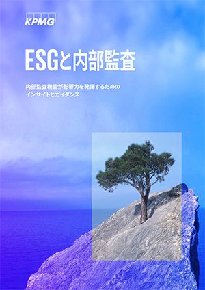  「ESGと内部監査」（日本語版）を発表_図表1