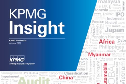 KPMG Insight Vol.10