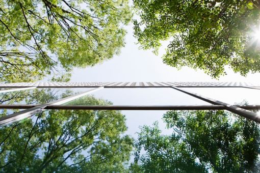 木々が映るビル