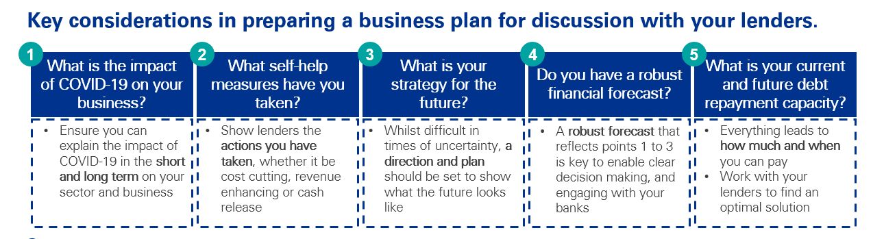 Key considerations in preparing a business plan for discussion with your lenders.