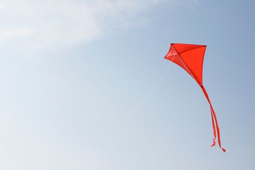 Kite flying in the air