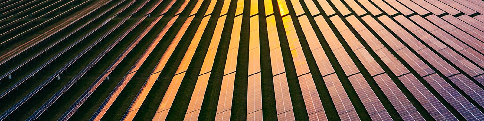 solar field - KPMG Commodities trading services