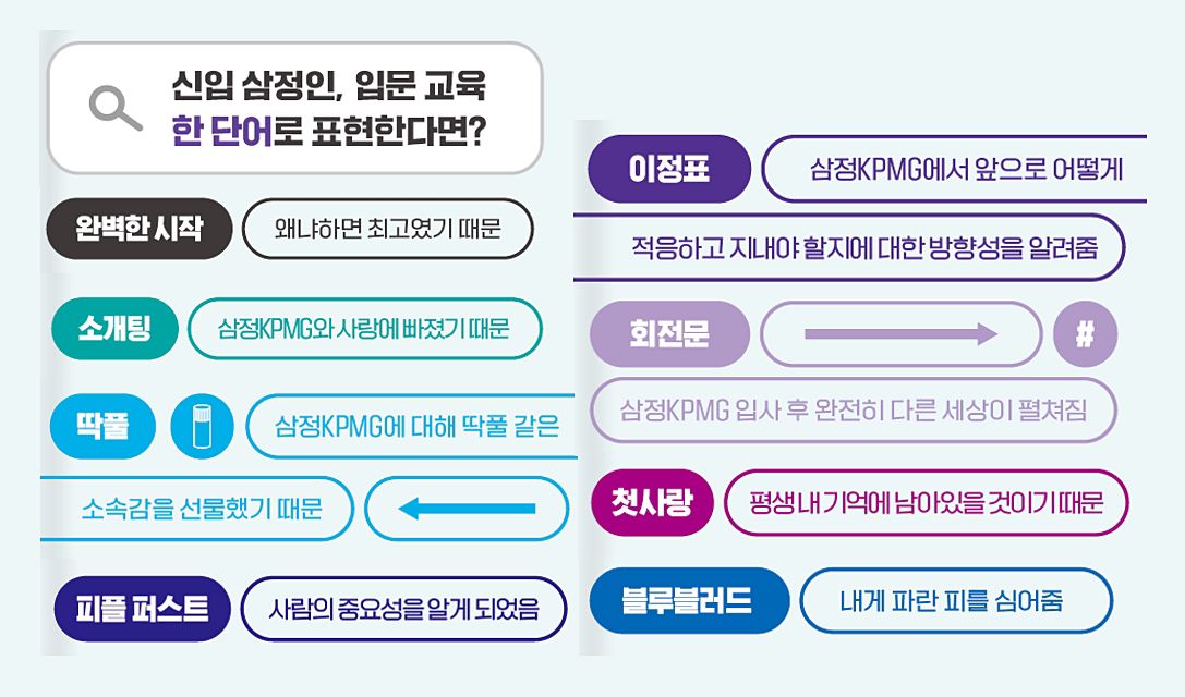 신입 회계사