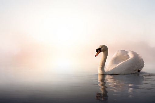 kuresel-ekonomi-toparlanmak-icin-ortak-zemin-ariyor