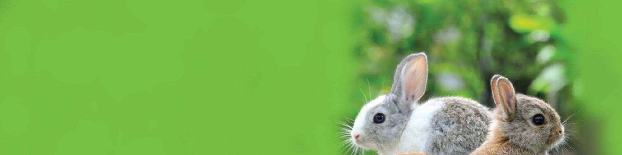 Küresel ekonomide temkinli iyimserlik