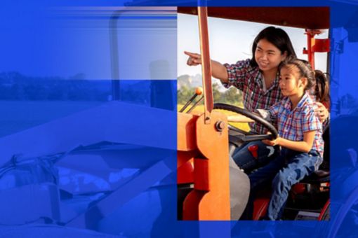 Reimagining global food system resilience