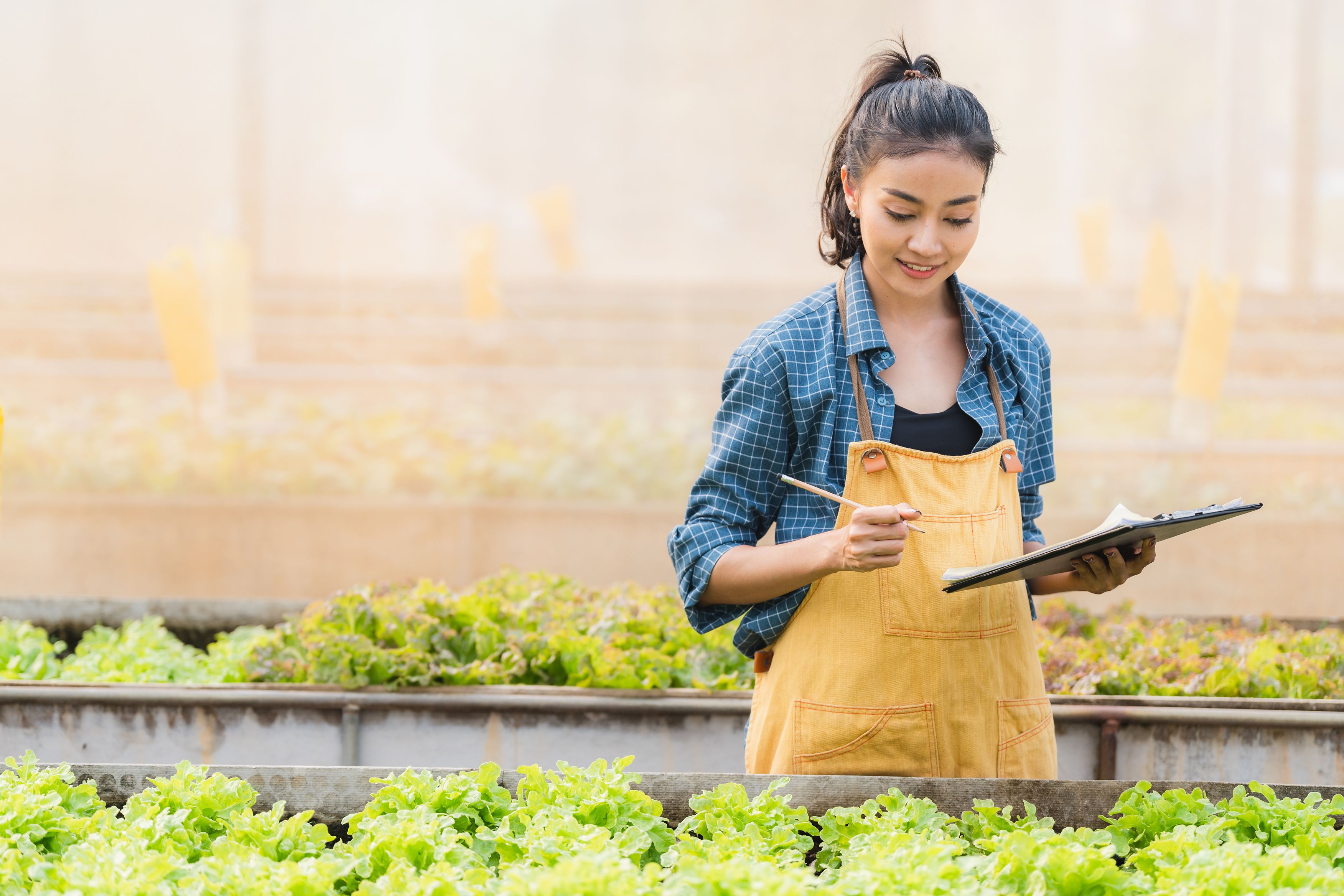 Lady with writing pad looking at plants