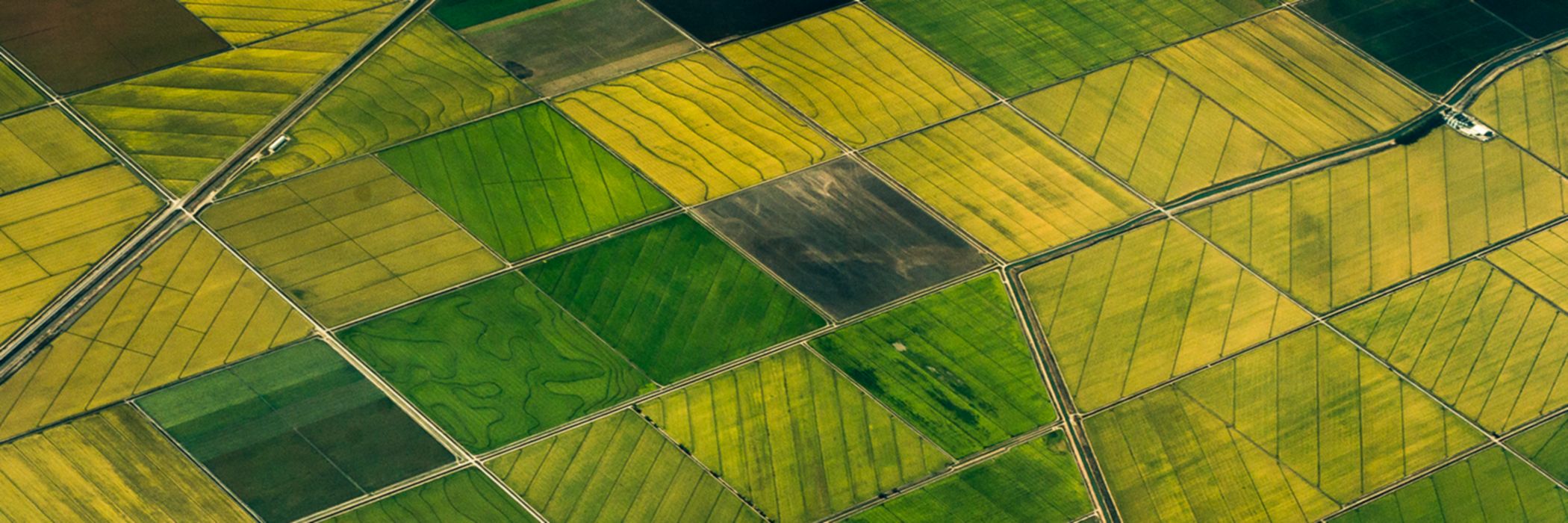 Blick auf landwirtschaftliche Felder von oben