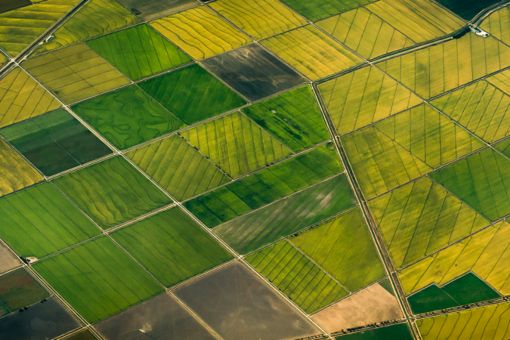 A view on the fields from above