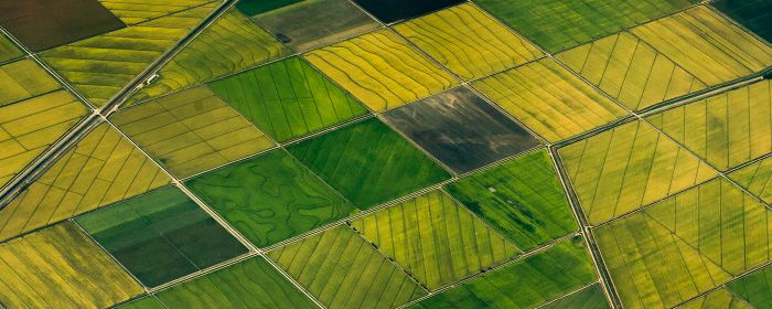 A view on the fields from above