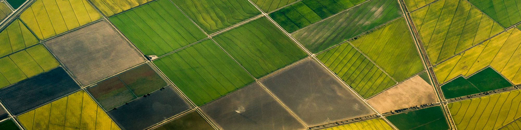 Blick auf landwirtschaftliche Felder von oben