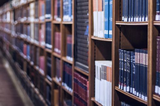 Library shelf filled with books