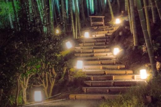 Lit up stairway in bamboo garden