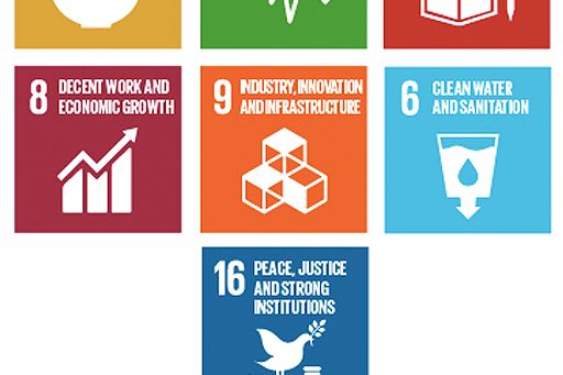 Localized SDG Action Plans