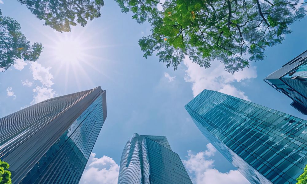 Looking up at office towers through trees