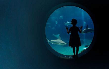 Mädchen vor einem Aquarium 