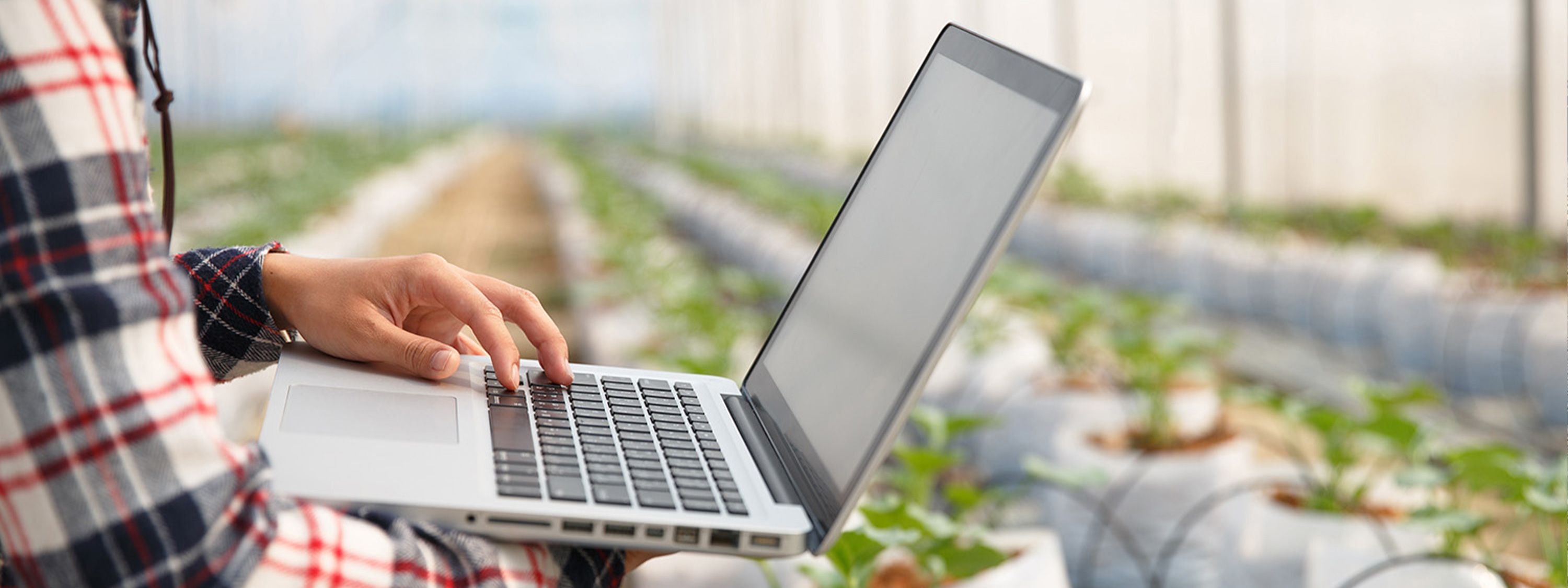 Manu using laptop in greenhouse