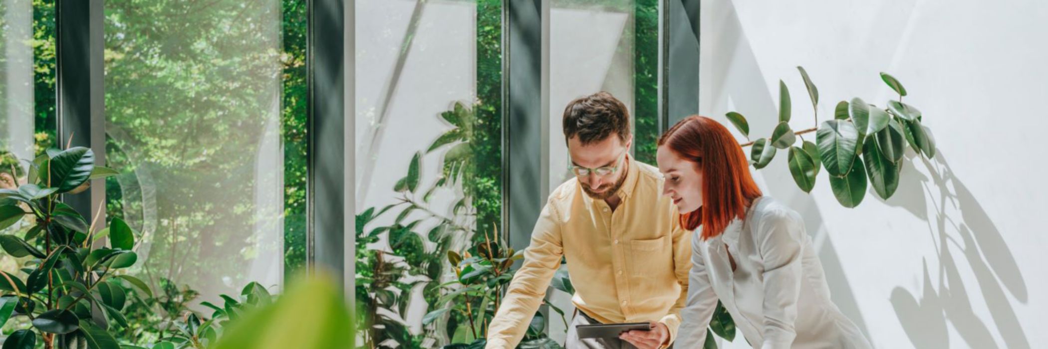 man-woman-working-with-solar-panels