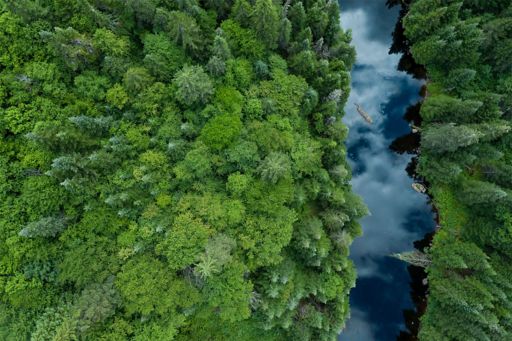 aerial-view-of-boreal-nature-forest-and-river.jpg