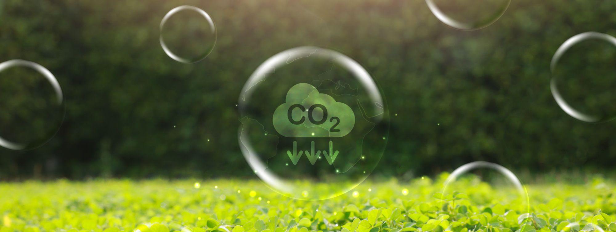 放眼2050淨零碳排目標，減碳不只是合規遵循，更是一場不容缺席的商業賽局。