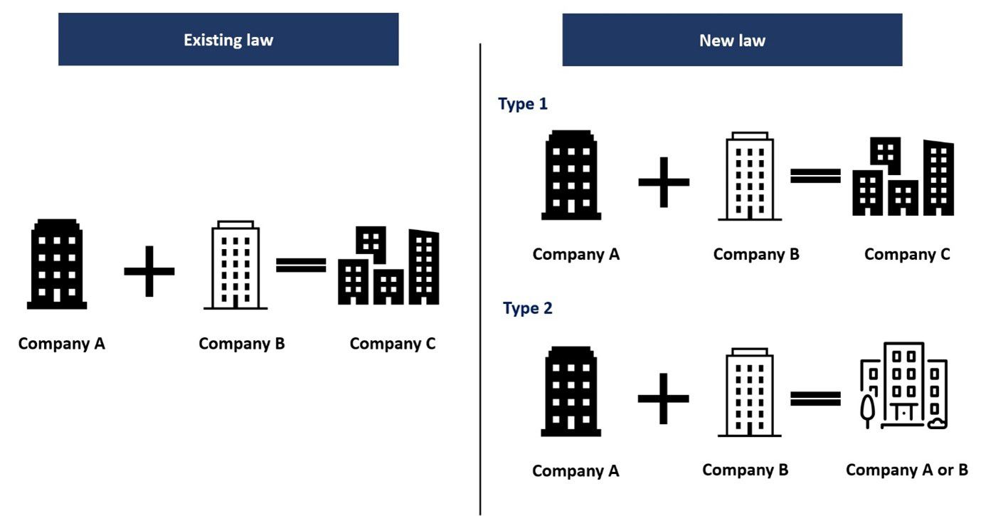 New Type of Business Combination in Summary