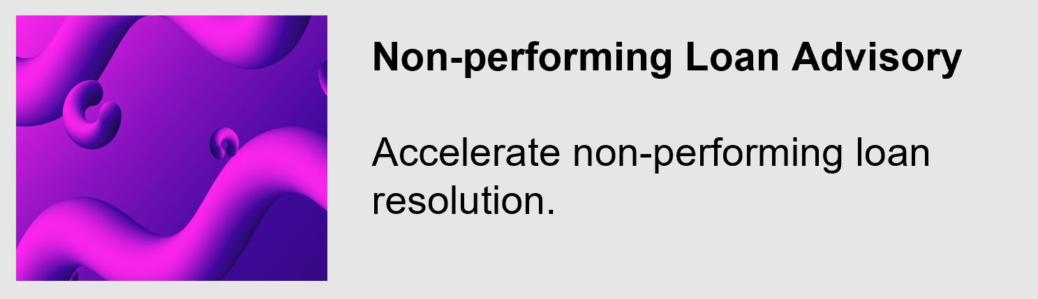 non-performing loans advisory