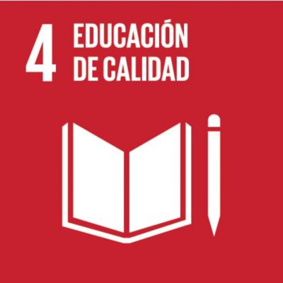 sdg icon