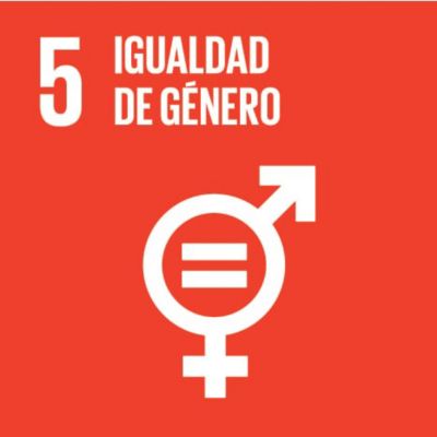 sdg icon