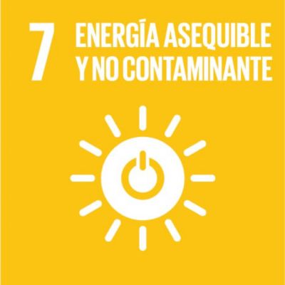 sdg icon