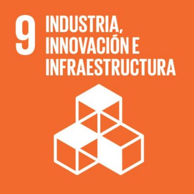 sdg icon