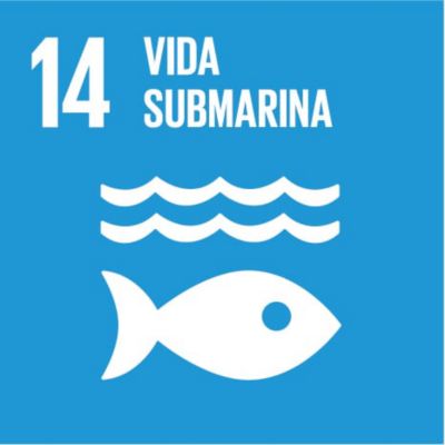 ODS 14. Vida submarina