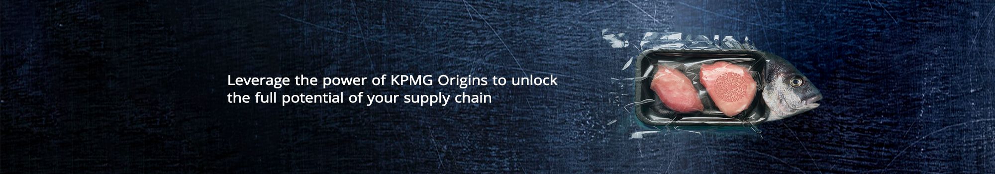 Leverage the power of KPMG Origins to unlock the full potential of your supply chain.