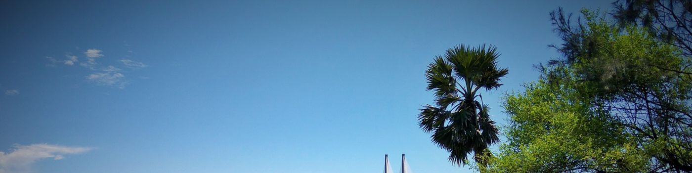 Palm tree on beach beside sea bridge link Mumbai