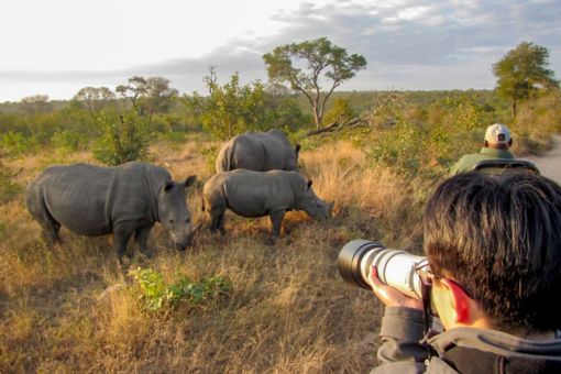 Photographer on rhinoceros safari