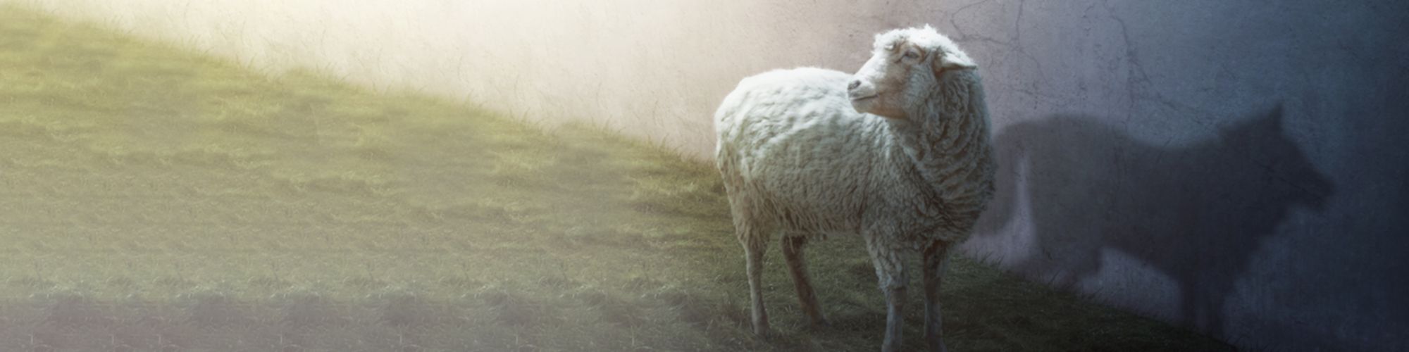 Piyasa Haberleri Bülteni Sayı - 10