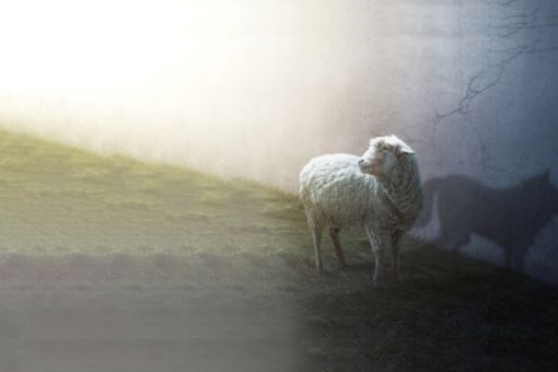 Piyasa Haberleri Bülteni Sayı - 10