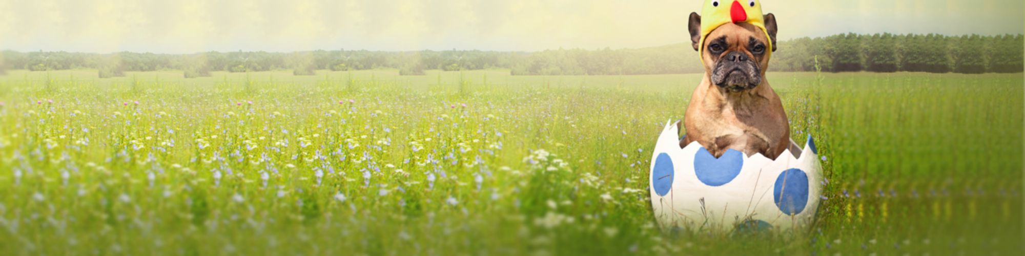 Piyasa Haberleri Bülteni Sayı - 11