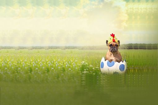 Piyasa Haberleri Bülteni Sayı - 11