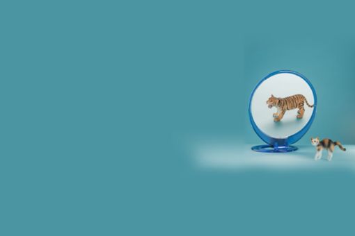 Piyasa Haberleri Bülteni Sayı 16