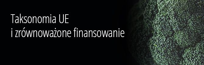 Taksonomia UE i zrównoważone finansowanie