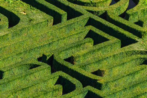 A green maze - French garden