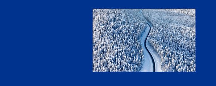 Ulica w lesie zimą | Branża motoryzacyjna. Edycja Q1/2023