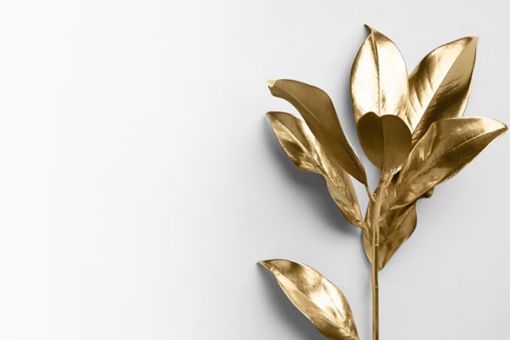 Infografika: Rynek dóbr luksusowych w Polsce. Edycja XI