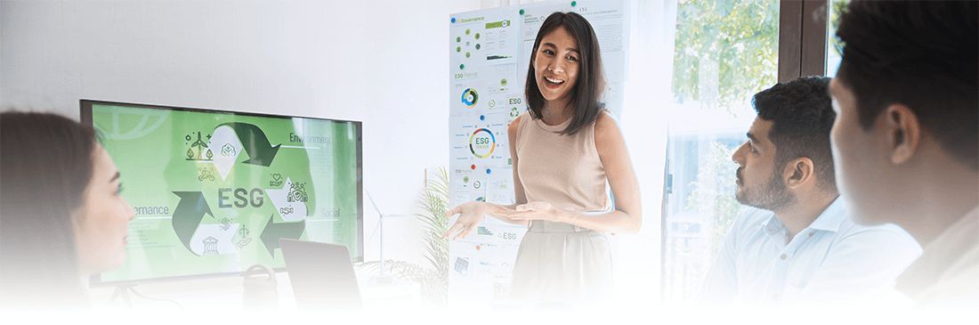 corporate governance esg