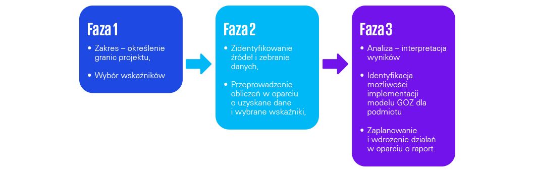 Proces wsparcia przy przejściu podmiotu na model GOZ realizujemy w 3 fazach: 